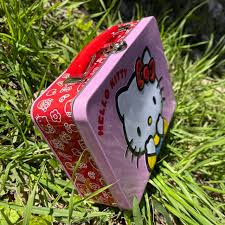Sanrio Hello Kitty lunchbox 🎀 *Feel free to ask for... | Depop