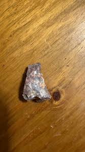 Any idea what this could be? The colors are absolutely ...