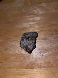 Meteorite