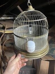 Bird Cage Glass | eBay