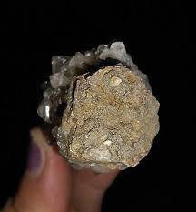 AMAZING AMMONITE!! CLEAR STONE CHRYSTAL QUARTZ ROCKS, FROM ...