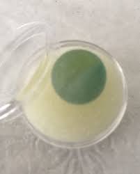 Green Beach Sea Glass Marble, Beach Find Treasure Agate - Etsy