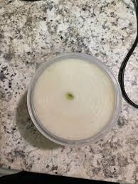 Half an onion in a Tupperware container : r/Perfectfit
