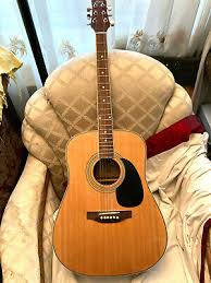 Magnum mod. MAG 250 NT Acoustic Guitar 49 " x 15" excellent ...
