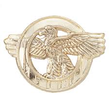 VFW Store - "Ruptured Duck" WWII Victory Pin