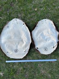 Premium Soft-Tanned Beaver Pelt – New England Naturals