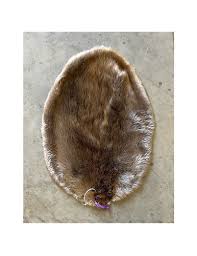 Beaver | Barnes Hide and Fur