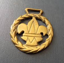 Emblems De Boy Scout - Etsy Australia