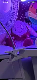 Lamby'nin spa günü! (Fuddlewuddle Lamb) : r/Jellycatplush