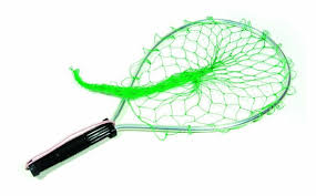 Eagle Claw NTRTSM Trout Net | eBay