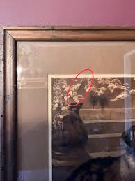 Antique Late 1800s Lithograph of Heinrich Sperling's (1844 ...