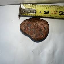 Unique Rare Collectible Michigan Conglomerate/pudding Stone ...
