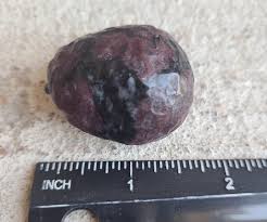 Garnet Hedgehog - Etsy Denmark