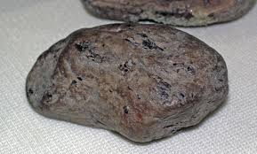 Ichthyosaur coprolite (Lower Jurassic; England) 4 | Ichthyos ...