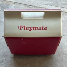 Igloo Cooler 16 Qt | eBay