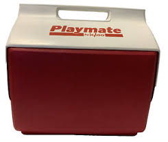 Large Igloo Cooler | eBay