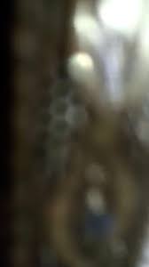 Wooden Handcrafted Dryfruit Box/oxidised Diwali Gift Box ...