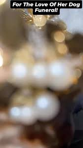 They shouldn't have never gave some of y'all PPP loans 🤦🏾‍♂️