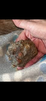 What is this rock or mineral?