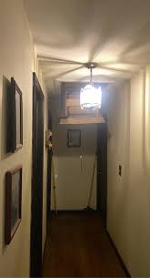 Southern CT] Help!!! There's a snake in my attic : r ...