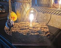 Tree Trunk Table Lamp - Etsy