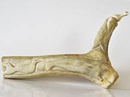 Inuit Art - Ivory Bird Perched on Inscribed Caribou Antler ...