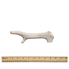 Whole Antler - Dog Treats | Kahoots Pet