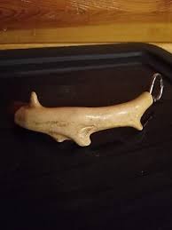 Handmade Whitetail Deer Antler Bottle Opener Custom Homemade ...
