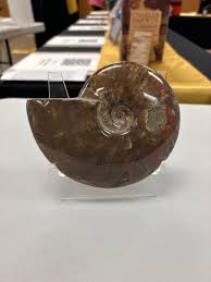 Burpee On The Rocks Gala