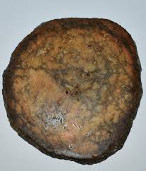 Brain Geode Drusy Chalcedony from North Carolina USA Polished Slab