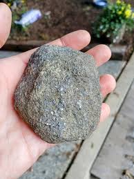 Is this a fossil inside this rough black sparkle exterior ...