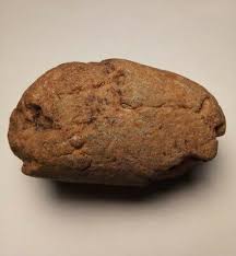 Prehistoric Paleo-American stone art fossilized egg ...