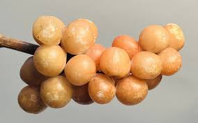 Early Vintage Italian Alabaster Stone Fruit Grapes Salmon ...