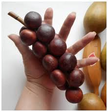 Life Size Monkeypod Wood Fruit 18 Pieces Vintage Mid Century ...