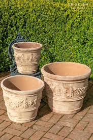 Provencal style new garden plant pots