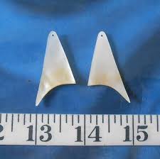 Mother-of-Pearl (MOP) Seahell Jewelry Blanks ~ Polished ...