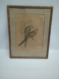 Vintage Original Litho Monograph Print John Gould Framed ...