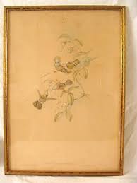 Antique 1860's John Gould Lophornis Reginae Gold Leaf Birds ...