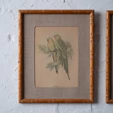 Pair of Gould Parrot Prints, 1940s | Chairish