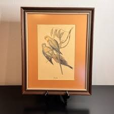 J Gould Prints | eBay