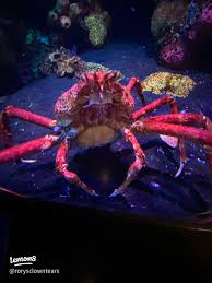 Aquarium shenanigans | Gallery posted by Rory Tolito | Lemon8