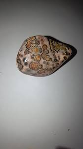 Anyone know what this crazy looking stone is? : r/whatsthisrock