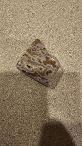 What is it? : r/whatsthisrock
