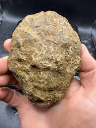 Fossilized Indiana Geode Clear Quartz Crystal Whole 217 ...