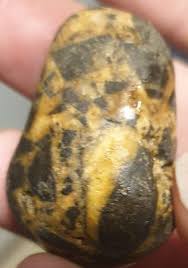 5P: The dark matrix | mysite