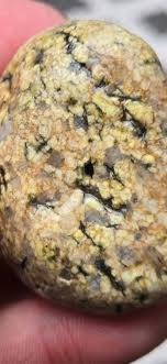 This was found at the fraser river. Location chilliwack, BC. Canada. | Facebook