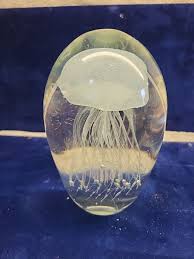 Glass Paperweight Jellyfish Clear White 6.5” Heavy Nautical ...