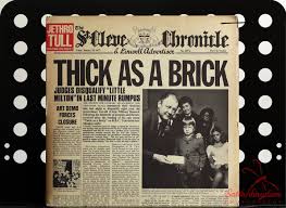 Capturing the Beauty of Dragonflies: Tips for Nature Enthusiasts