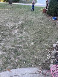 Help for a newb!! : r/lawncare