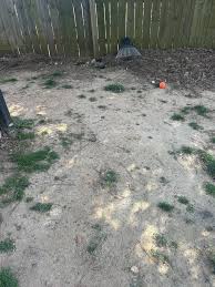 Why Can't I Grow Grass? 2 Years of Trying & Still Nothing! Help! : r/lawncare